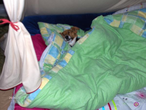 Nugget had a hard day