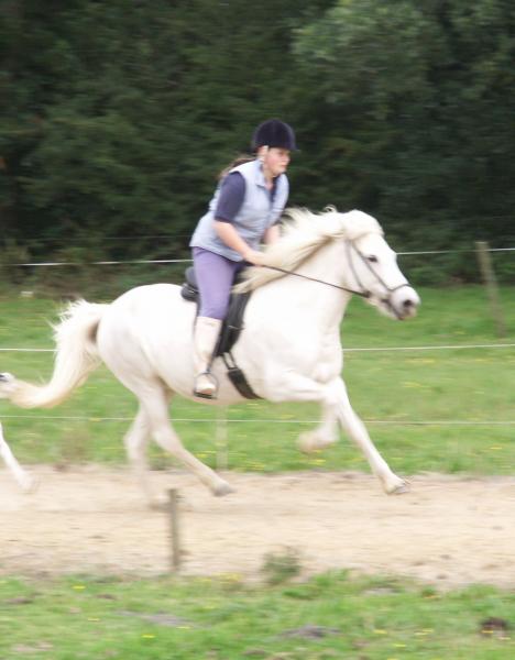 Sól cantering
