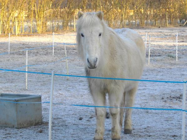 Sól fitting in with the weather