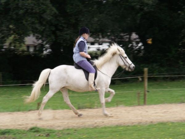 Sól in lose rein tolt,sucse my postion and the fact im in wellies :) We were cooling off after a training sesh