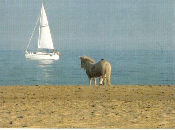 Sol at the beach...beleve it or not but that was taken on the 15 of december!