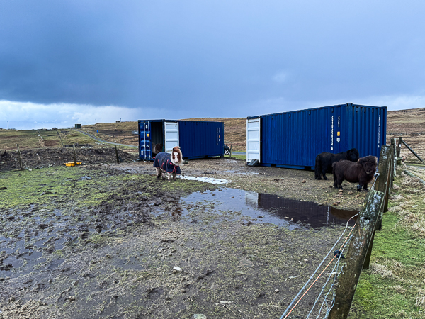 myshetland.co.uk